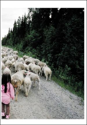 adresseavisen_uka-20070630_000_00_00_023.pdf