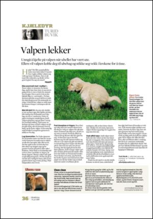 adresseavisen_uka-20070714_000_00_00_036.pdf