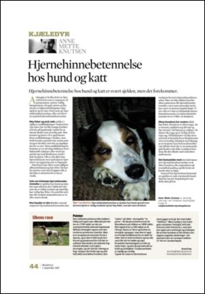 adresseavisen_uka-20070901_000_00_00_044.pdf