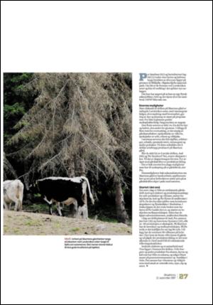 adresseavisen_uka-20070922_000_00_00_027.pdf