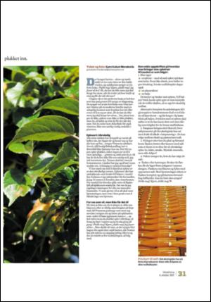 adresseavisen_uka-20071006_000_00_00_031.pdf