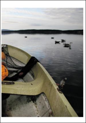 adresseavisen_uka-20071117_000_00_00_025.pdf