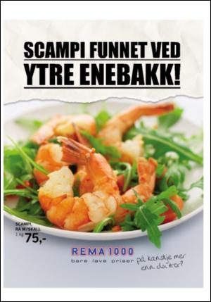adresseavisen_uka-20080405_000_00_00_013.pdf