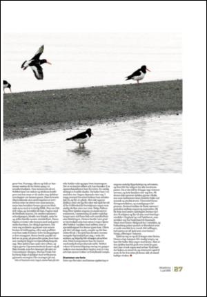 adresseavisen_uka-20080705_000_00_00_027.pdf