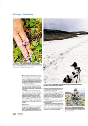 adresseavisen_uka-20080712_000_00_00_016.pdf
