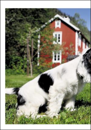 adresseavisen_uka-20080712_000_00_00_022.pdf