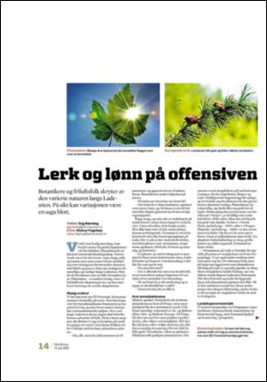 adresseavisen_uka-20080719_000_00_00_014.pdf