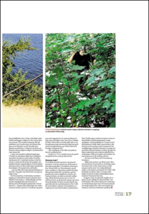 adresseavisen_uka-20080719_000_00_00_017.pdf