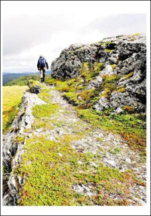 adresseavisen_uka-20080719_000_00_00_023.pdf