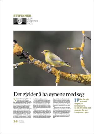 adresseavisen_uka-20080719_000_00_00_036.pdf