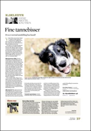 adresseavisen_uka-20080802_000_00_00_037.pdf