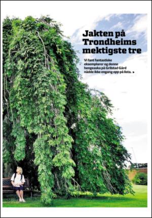 adresseavisen_uka-20080830_000_00_00_027.pdf