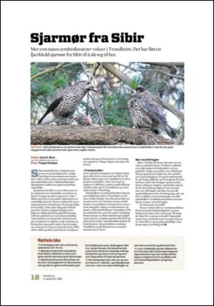 adresseavisen_uka-20080906_000_00_00_018.pdf