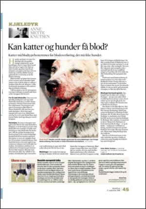 adresseavisen_uka-20080927_000_00_00_043.pdf