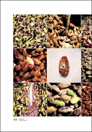 adresseavisen_uka-20081213_000_00_00_046.pdf