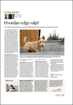 adresseavisen_uka-20090207_000_00_00_037.pdf