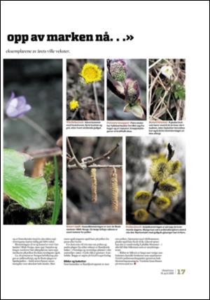 adresseavisen_uka-20090418_000_00_00_017.pdf