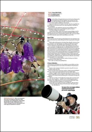 adresseavisen_uka-20090613_000_00_00_031.pdf