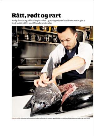 adresseavisen_uka-20090627_000_00_00_022.pdf