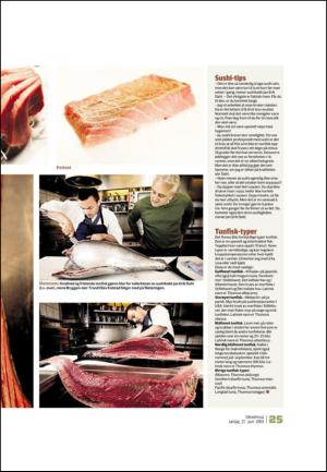 adresseavisen_uka-20090627_000_00_00_025.pdf