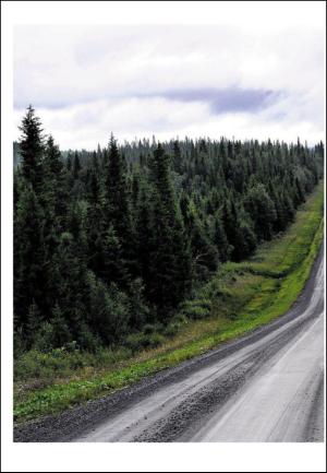 adresseavisen_uka-20090801_000_00_00_024.pdf