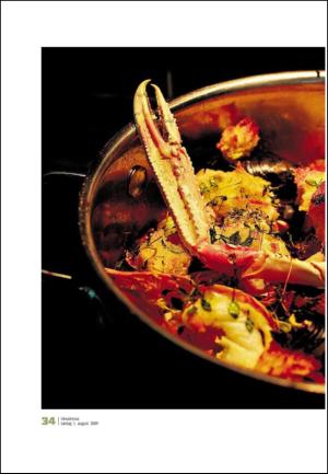 adresseavisen_uka-20090801_000_00_00_034.pdf