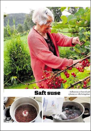 adresseavisen_uka-20090822_000_00_00_024.pdf