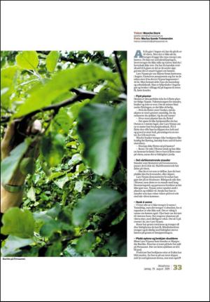 adresseavisen_uka-20090829_000_00_00_033.pdf