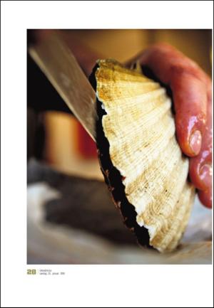 adresseavisen_uka-20100123_000_00_00_028.pdf