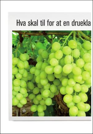 adresseavisen_uka-20100206_000_00_00_018.pdf