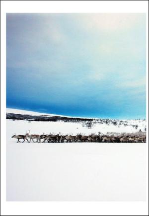 adresseavisen_uka-20100227_000_00_00_022.pdf