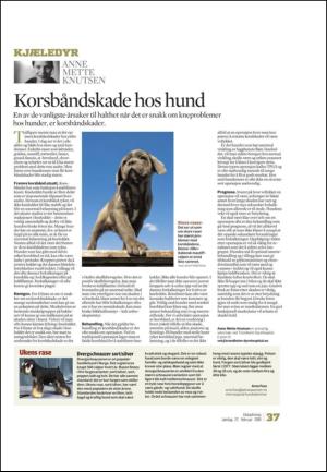 adresseavisen_uka-20100227_000_00_00_037.pdf