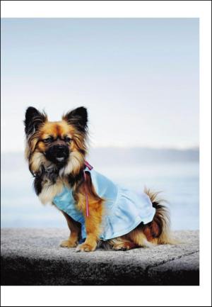 adresseavisen_uka-20100515_000_00_00_023.pdf