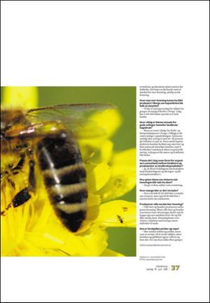 adresseavisen_uka-20100619_000_00_00_037.pdf