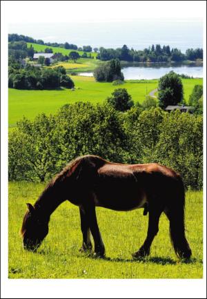 adresseavisen_uka-20100724_000_00_00_024.pdf