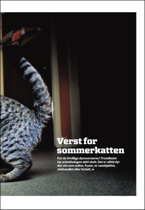 adresseavisen_uka-20100731_000_00_00_025.pdf