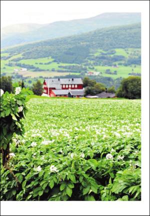 adresseavisen_uka-20100821_000_00_00_025.pdf