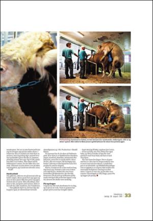 adresseavisen_uka-20100828_000_00_00_033.pdf