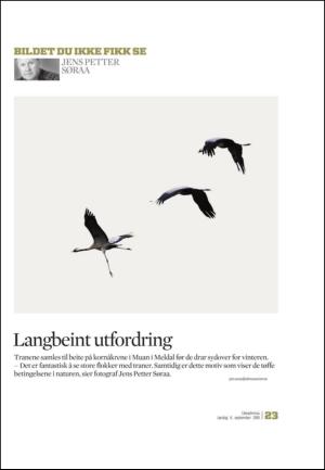 adresseavisen_uka-20100904_000_00_00_023.pdf