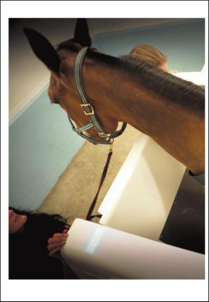 adresseavisen_uka-20100911_000_00_00_024.pdf