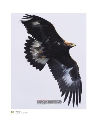 adresseavisen_uka-20101120_000_00_00_016.pdf