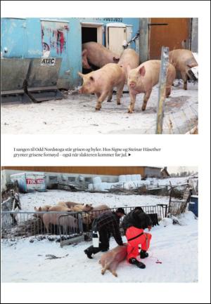 adresseavisen_uka-20101218_000_00_00_027.pdf