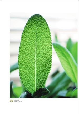 adresseavisen_uka-20110521_000_00_00_036.pdf