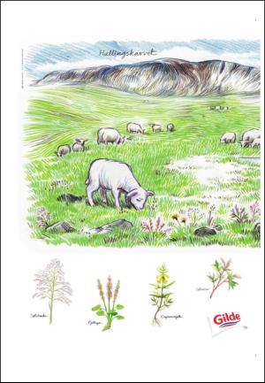 adresseavisen_uka-20111001_000_00_00_012.pdf