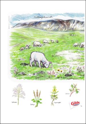 adresseavisen_uka-20111015_000_00_00_018.pdf