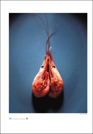 adresseavisen_uka-20120211_000_00_00_032.pdf