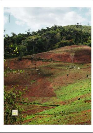 adresseavisen_uka-20120414_000_00_00_030.pdf