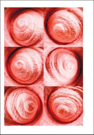 adresseavisen_uka-20120714_000_00_00_022.pdf