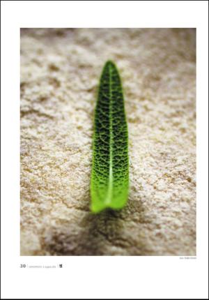 adresseavisen_uka-20120804_000_00_00_030.pdf