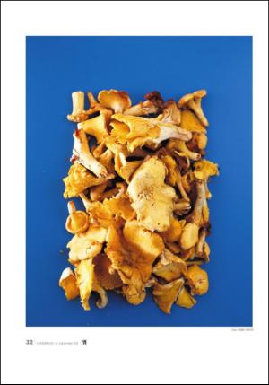 adresseavisen_uka-20120922_000_00_00_032.pdf